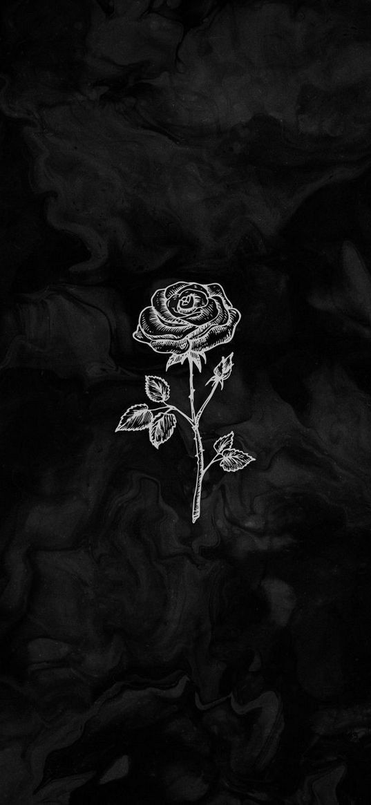 rose, streaks, smoke, black, dark, art