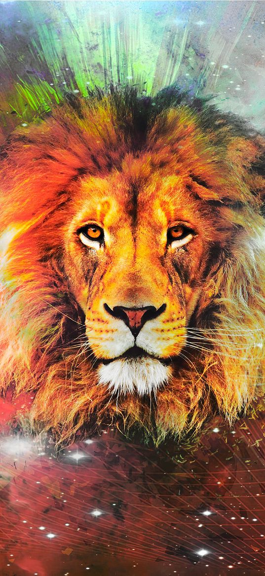 lion, art, predador, beast, animal, color, king