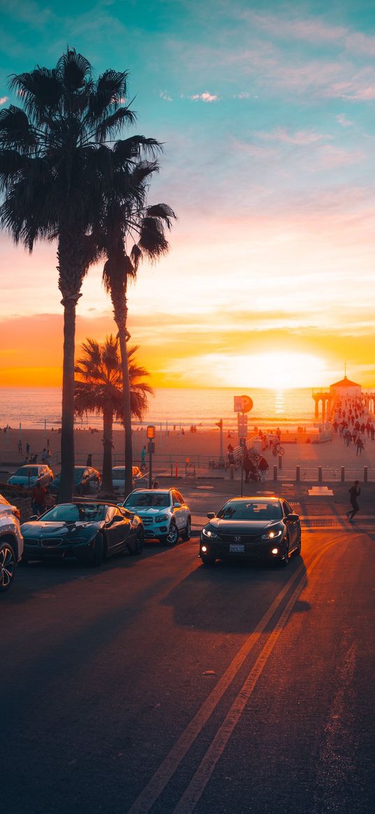 car, road, palms, sunset, beach