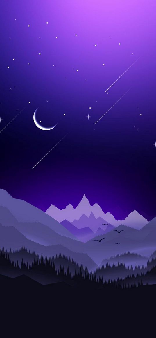 mountain, moon, comet, birds, night, stars