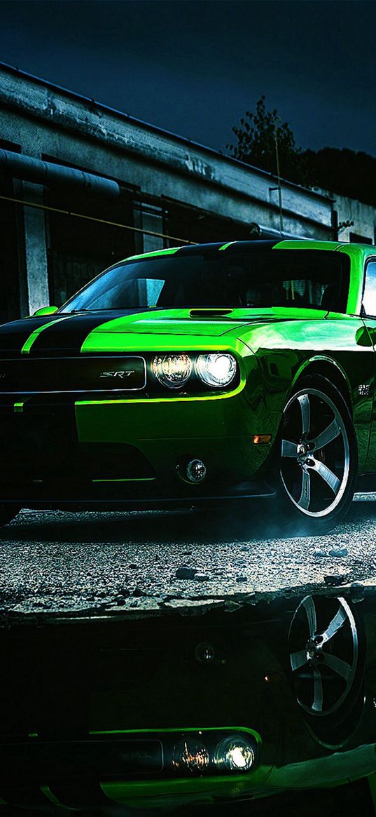 dodge challenger, dodge, car, green, puddle, reflection, building