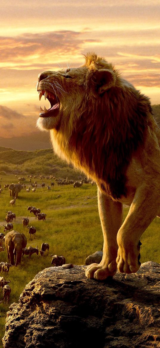 lion, predator, king, animals, rock, wildlife