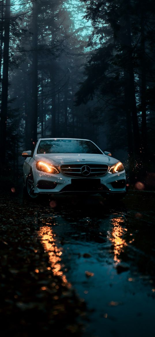 mercedes, car, white, forest, water, lights