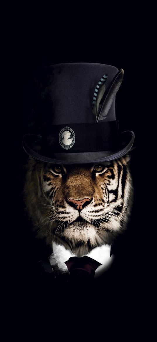 tiger, predator, top hat, hat, black background