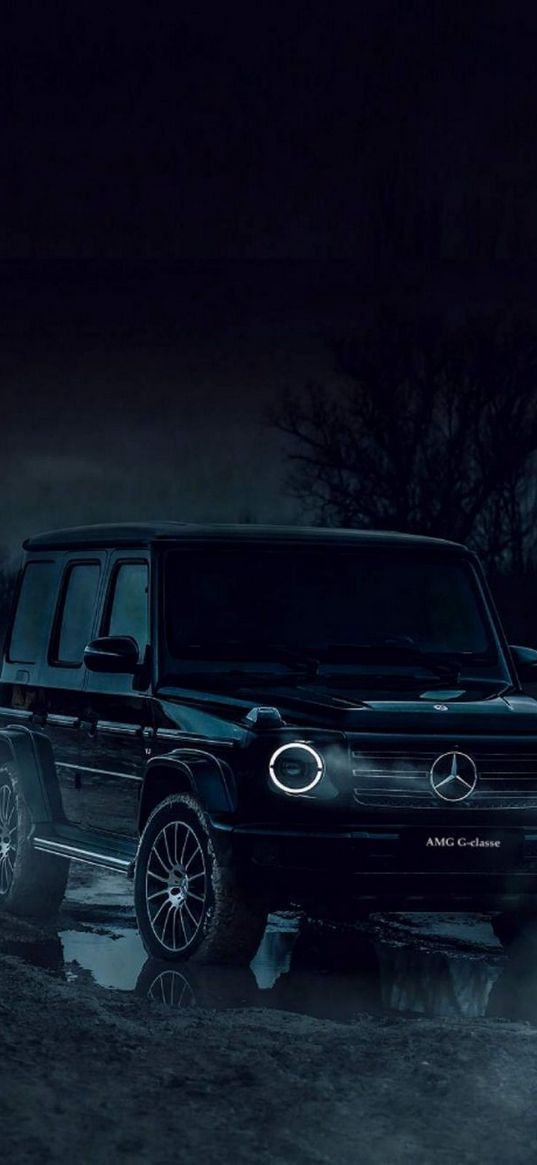 gelandewagen, mercedes benz, mercedes, car, black, puddle, forest, night