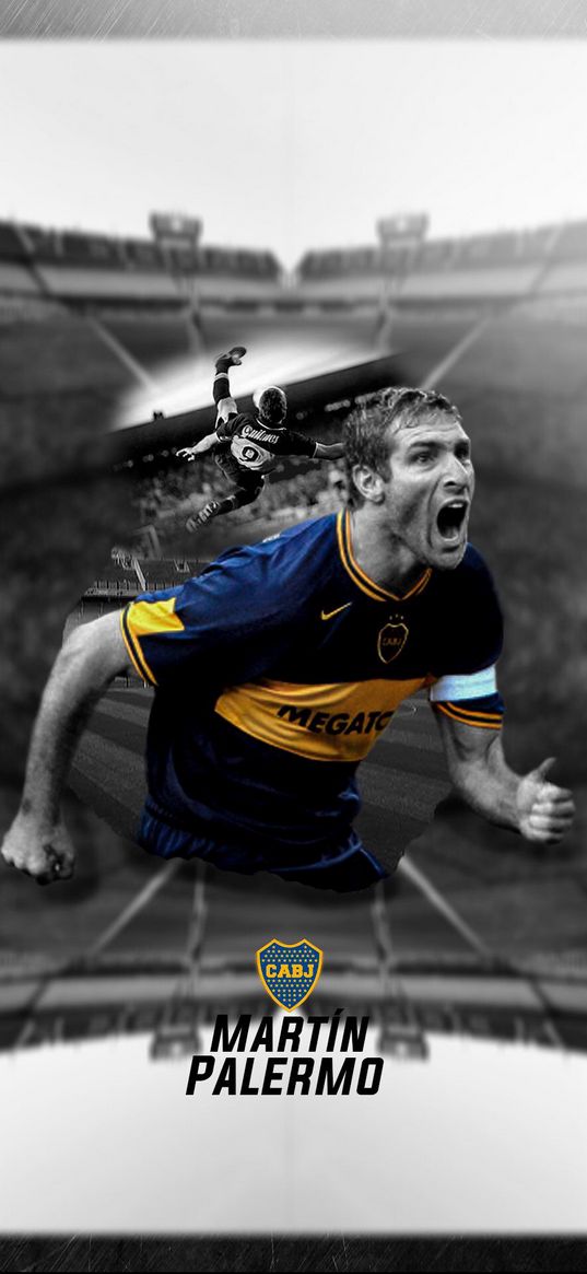 martin palermo, soccer player, soccer, cabj, boca juniors, stadium