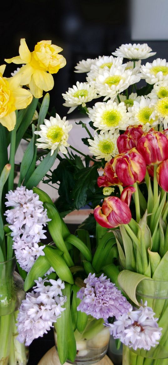 tulips, daisies, daffodils, bouquets, vases