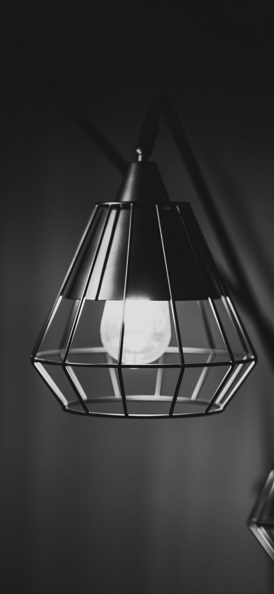 light bulbs, lamps, black and white