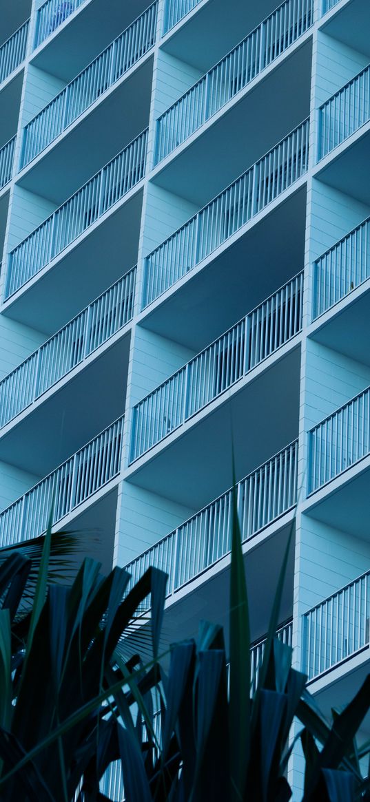 leaves, plants, building, balconies