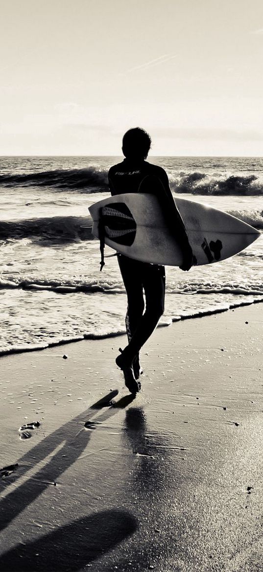 board, sand, surf, sea, surfing, sport