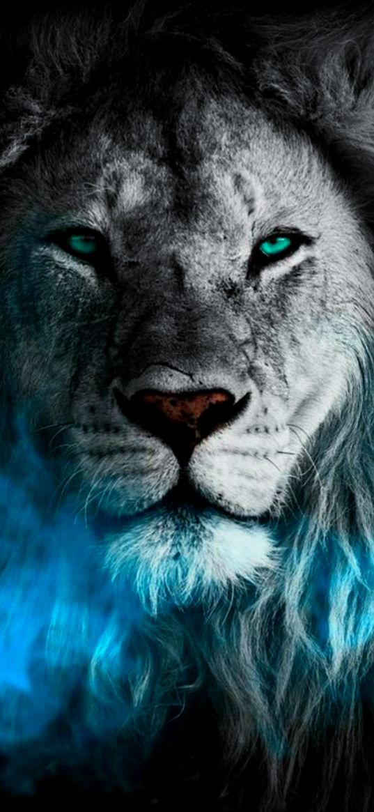 lion, predator, green eyes, blue smoke, animal, black and white