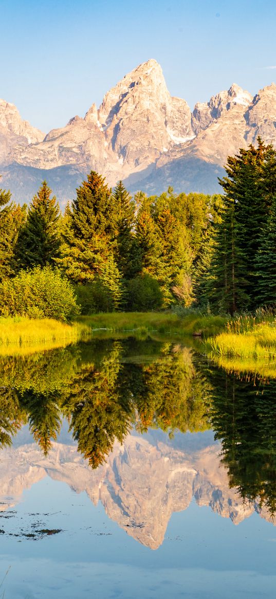 trees, forest, mountains, pond, reflection, landscape, nature