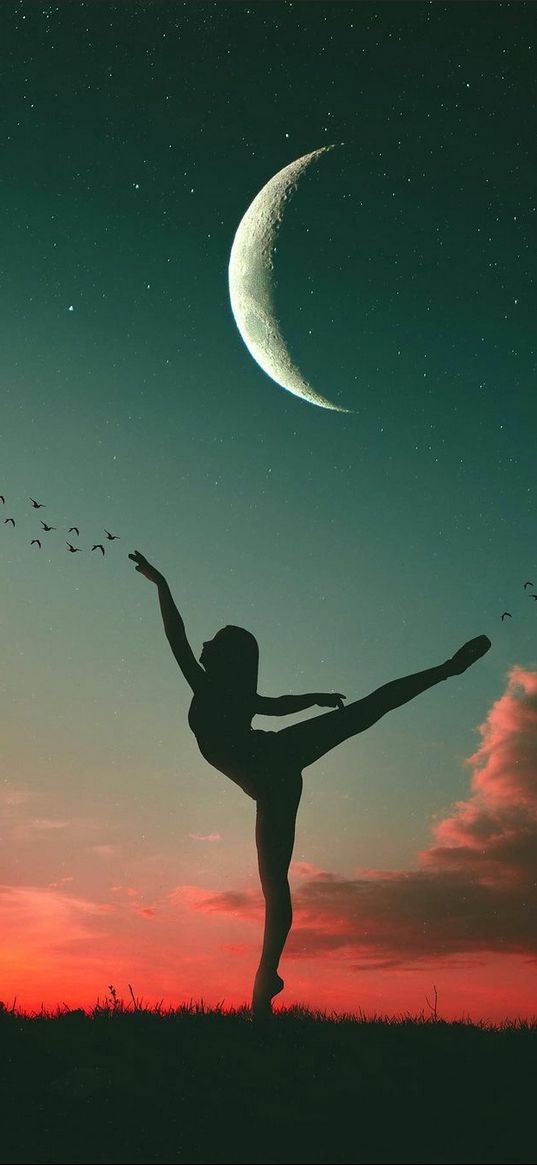 ballerina, girl, birds, dance, grass, moon, stars, cloud, night, art