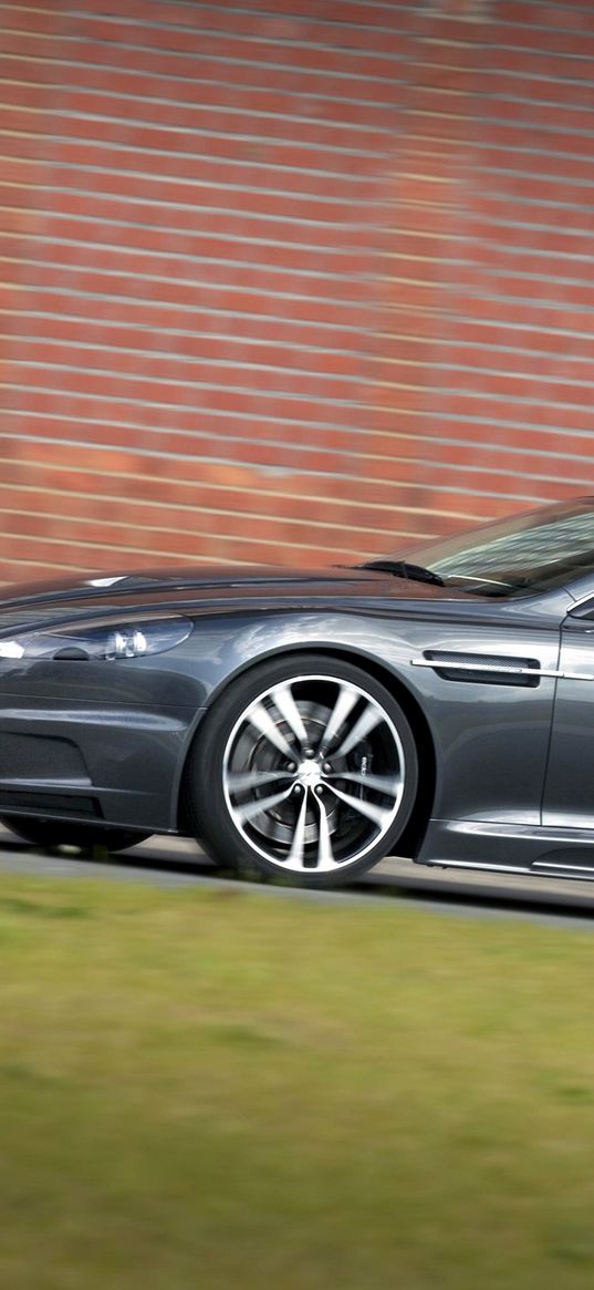 aston martin, dbs, 2010, gray, side view, style, grass