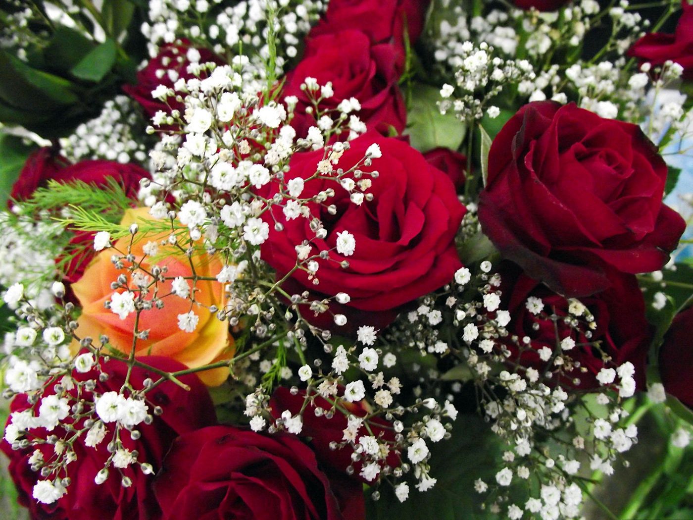 roses, bouquet, gypsophila, close-up