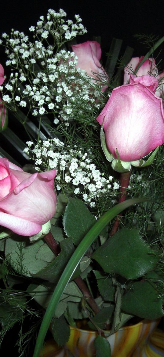 roses, flowers, gypsophila, flower, vase