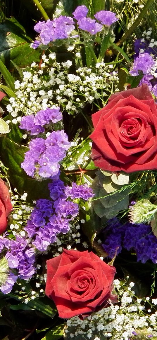 roses, flowers, bouquet, gypsophila, beauty