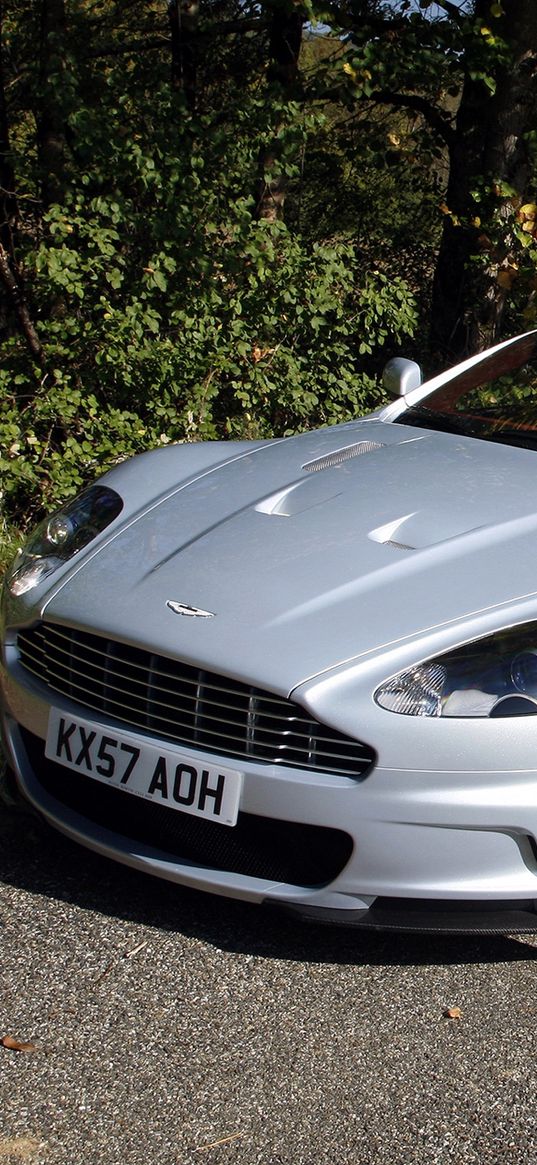 aston martin dbs, 2008, white, front view, grass, trees