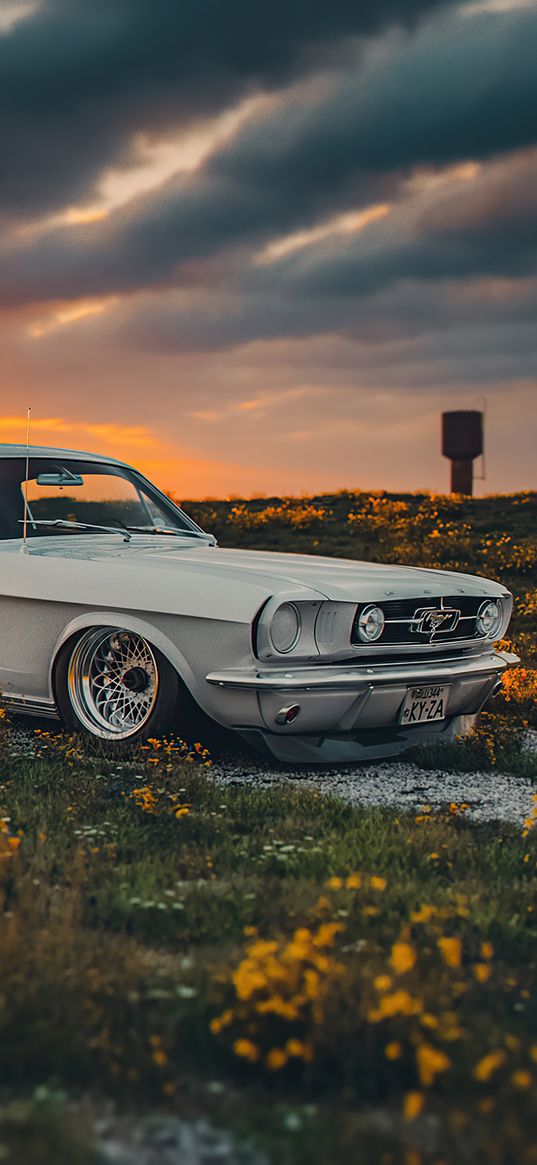 ford, ford mustang, auto, white auto, field, flowers