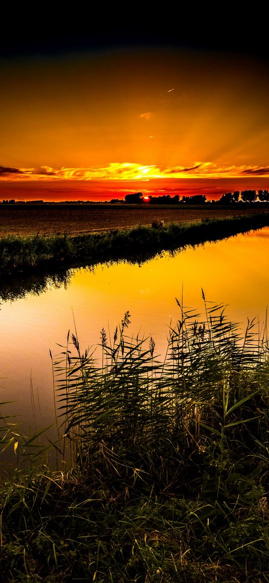 lake, sunrise, savanna, nature, morning, yellow sky