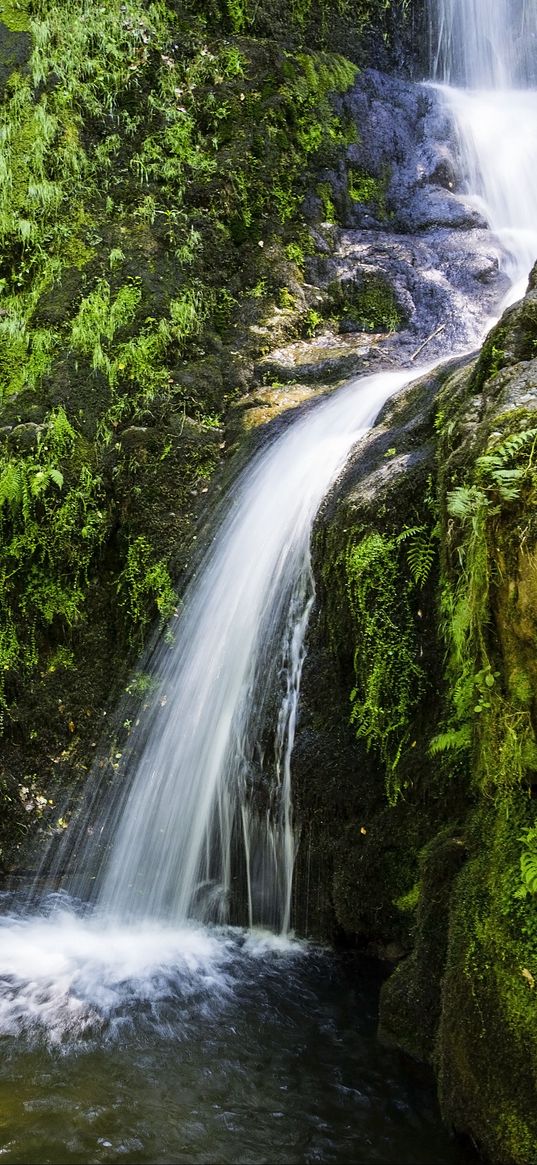 river, cascade, grass, nature