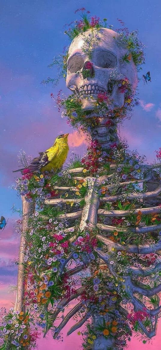 skeleton, flowers, bird, butterflies, sky, clouds, sunset, art