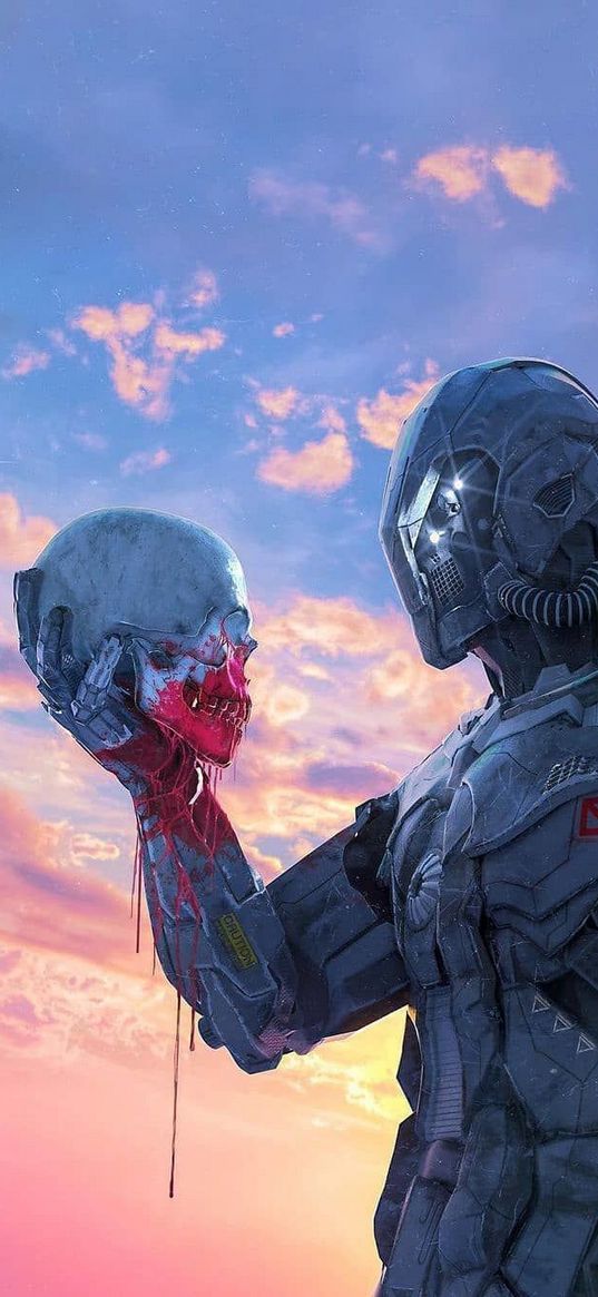 skull, death, soldier, robot, costume, sky, sunset, art