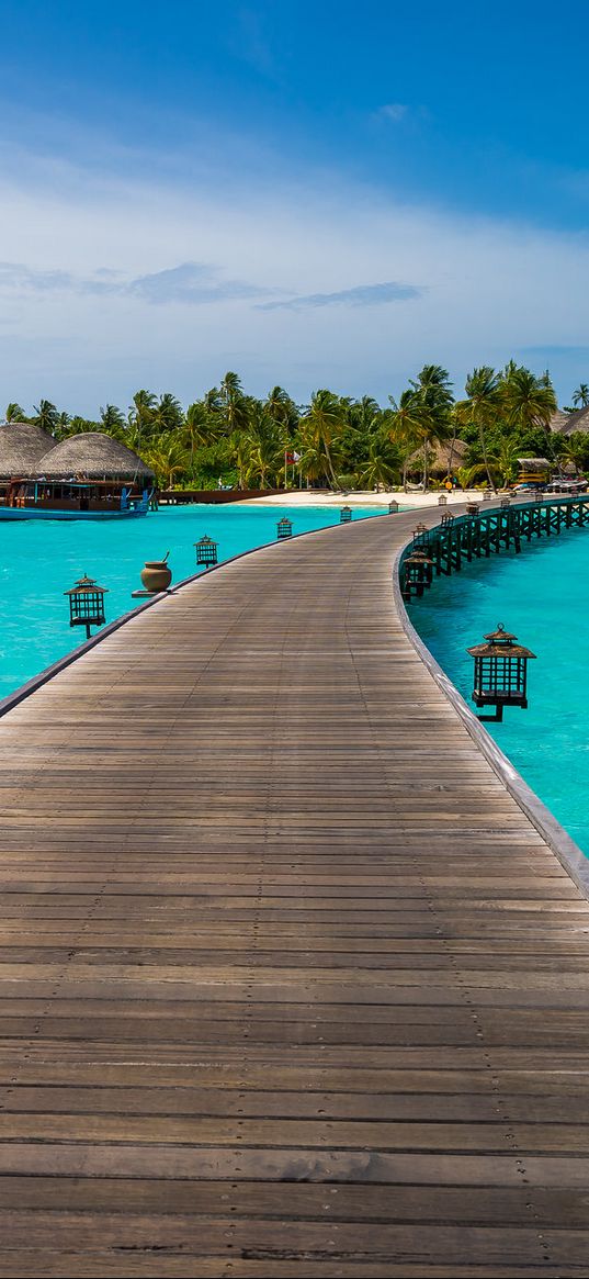 pier, ocean, tropics, palm trees