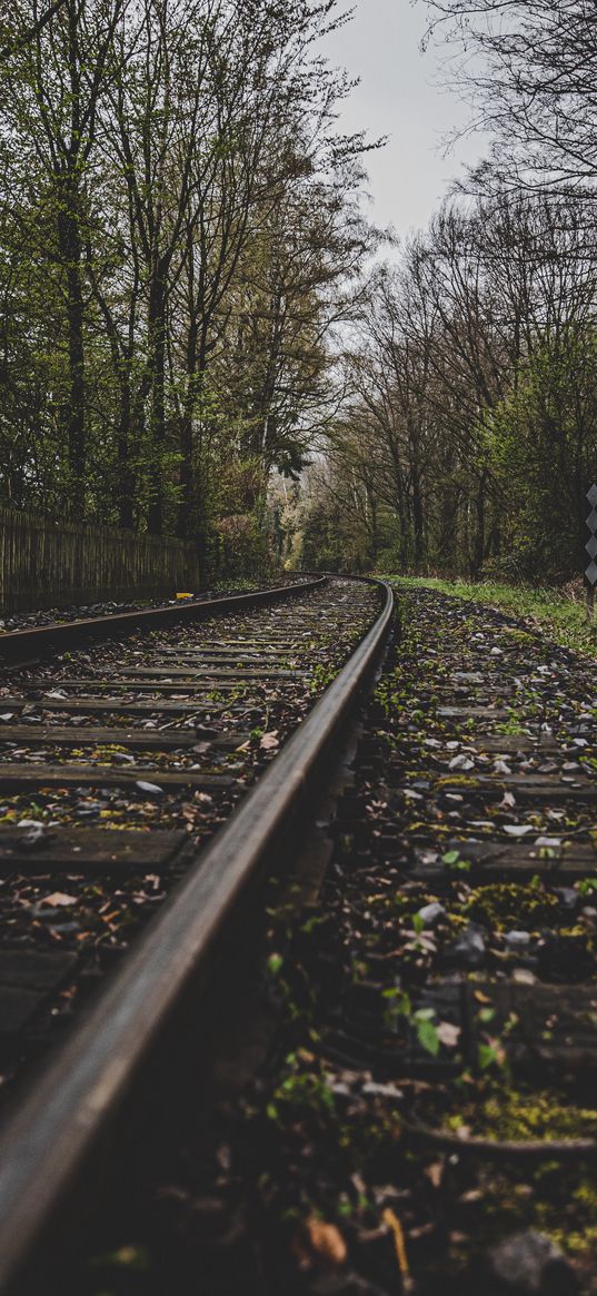 rails, railway, turn, mist, atmosphere