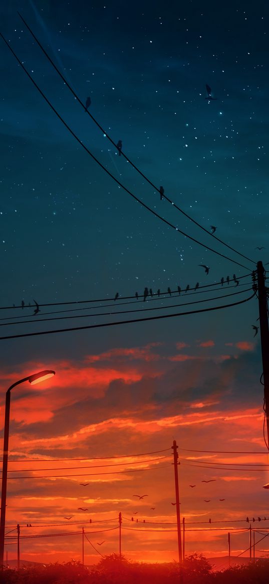 lantern, pillars, wires, birds, sunset, stars, anime, art