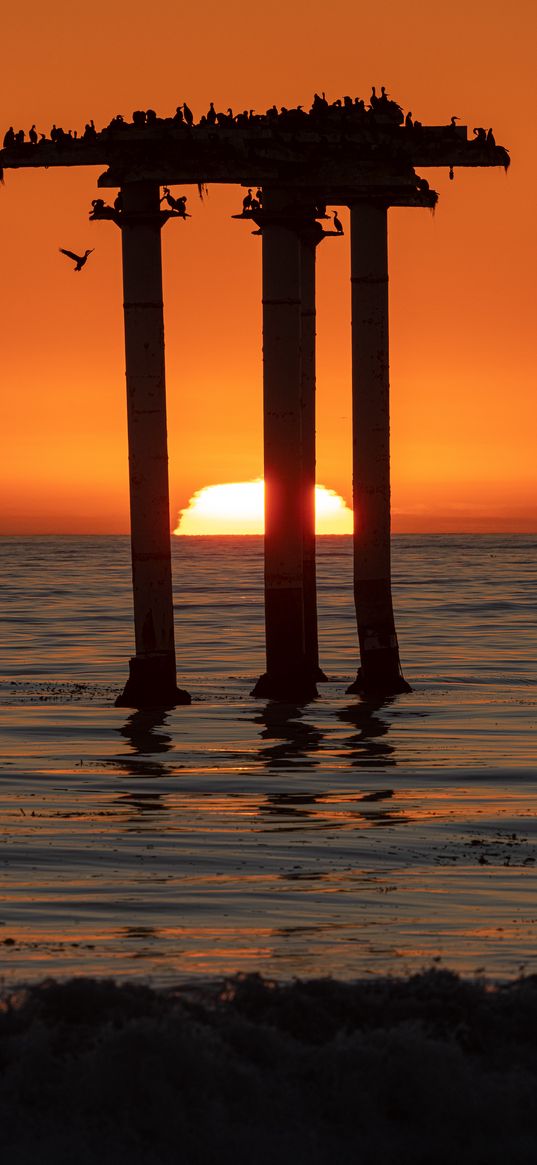 torii, sunset, sea, sun, birds