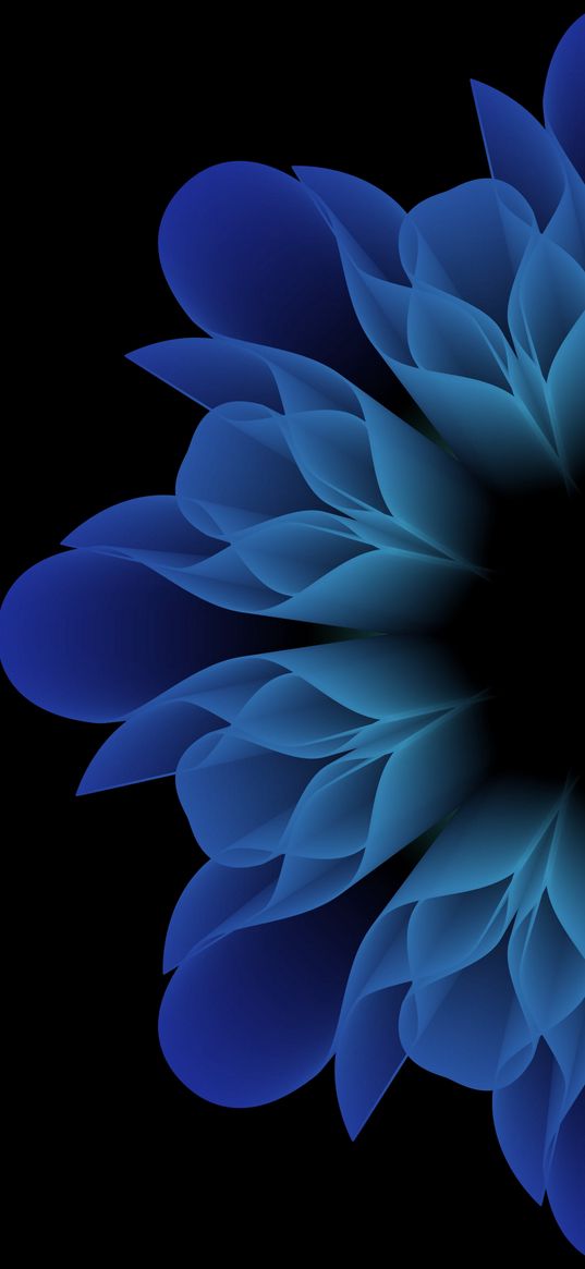 flower, blue, petals, black background