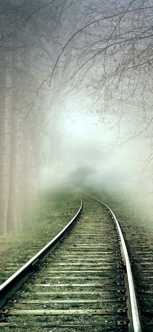 lonely, cloudy, forest, railway