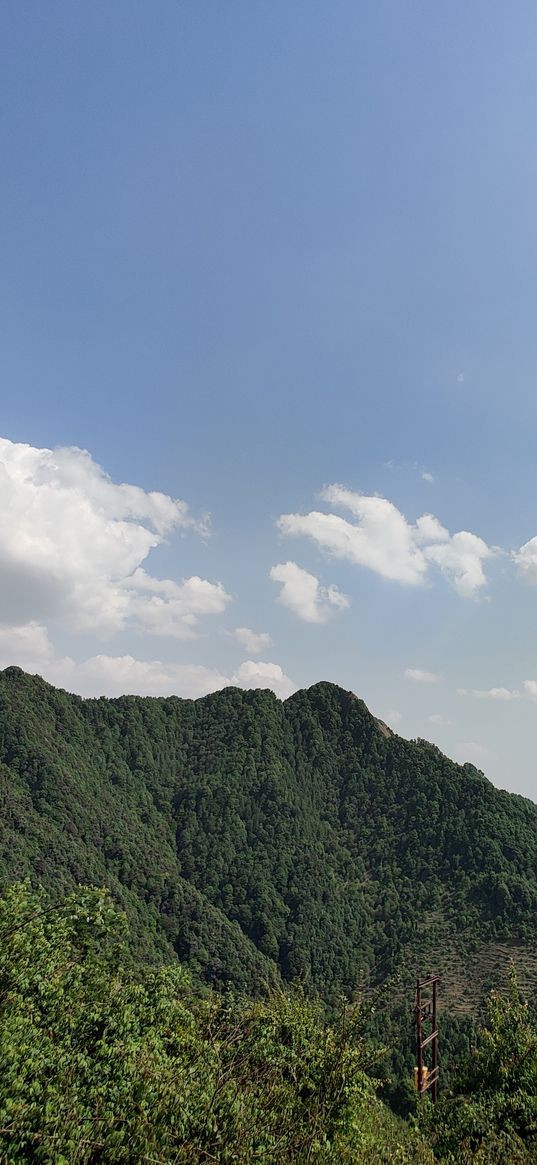 uttarakhand, hills, mountains, trees, nature, landscape, india