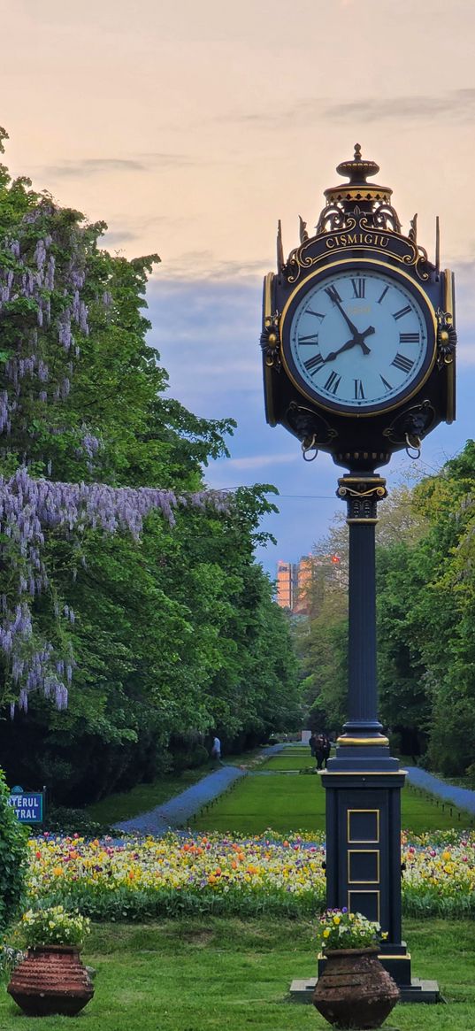 garden, park, nature, bucharest, sky, spring, flowers, trees