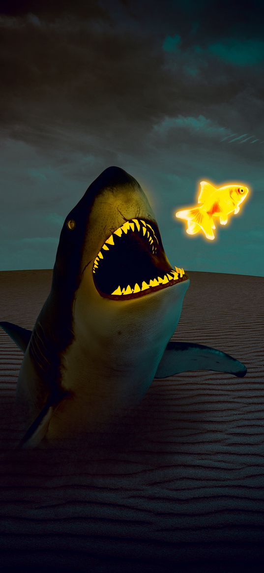 shark, predator, goldfish, desert, clouds, cloudy, digital art