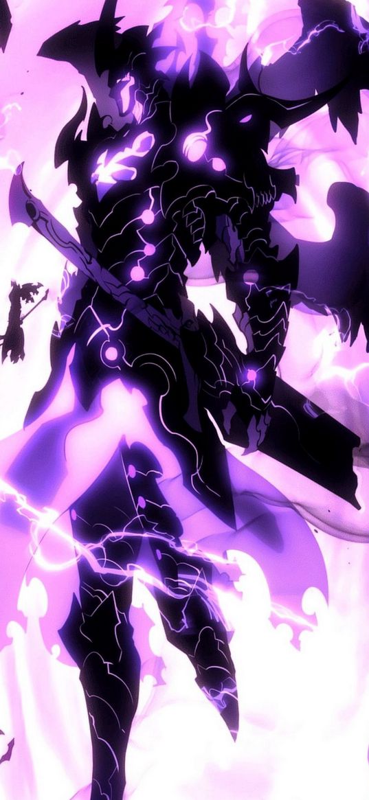 black form, ultimate power, mega, solo leveling, anime