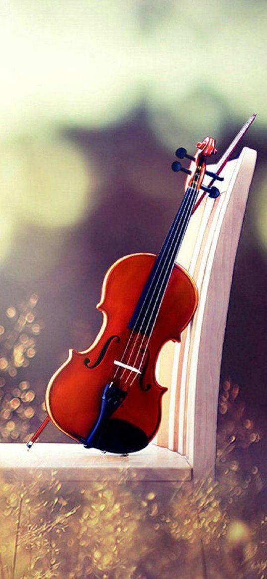 violin, musical instrument, chair, grass, glare