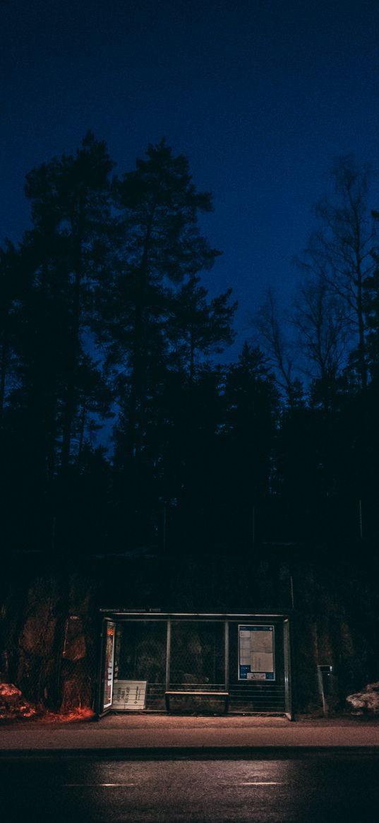 bus stop, night, evening, light, forest