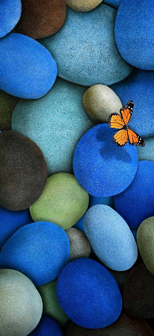 stones, pebbles, butterfly, nature