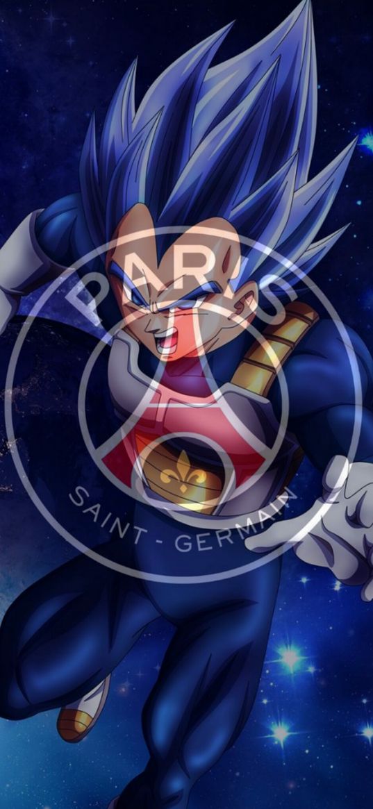 psg, paris saint germain, vegeta, dragon ball