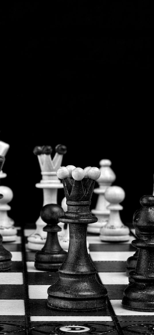 chess, pieces, game, black and white