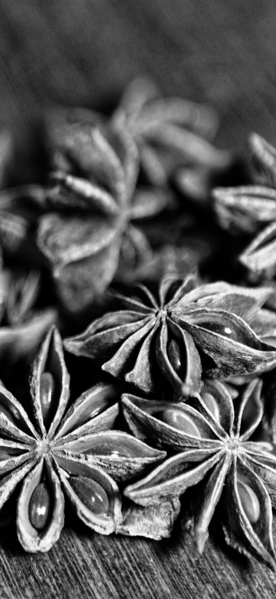 star anise, spices, macro, black and white