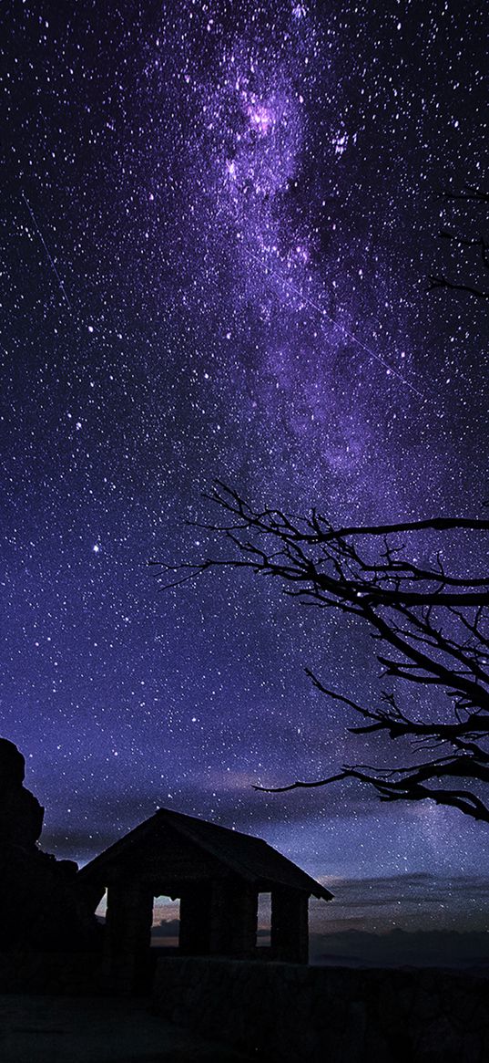 milky way, starry sky, night, hut, silhouette