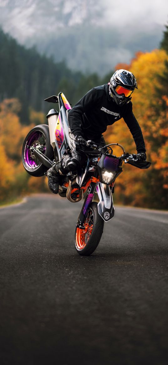 motorcycle, bike, biker, road, stunt, forest, autumn