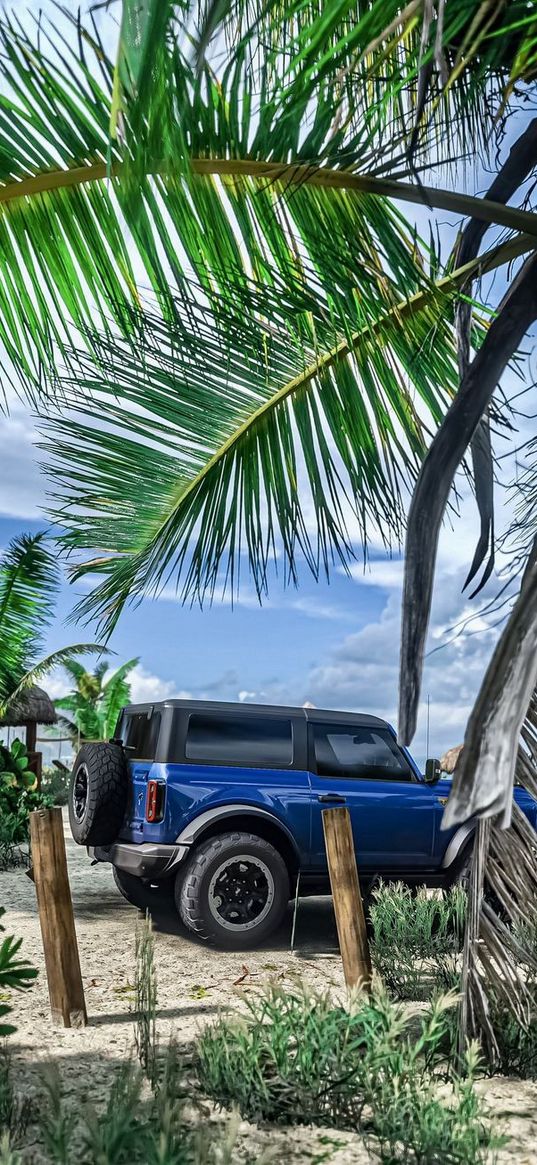 jeep, car, blue, palm trees