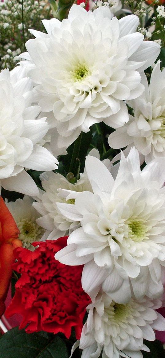 roses, chrysanthemums, flowers, carnations, gypsophila, bouquet