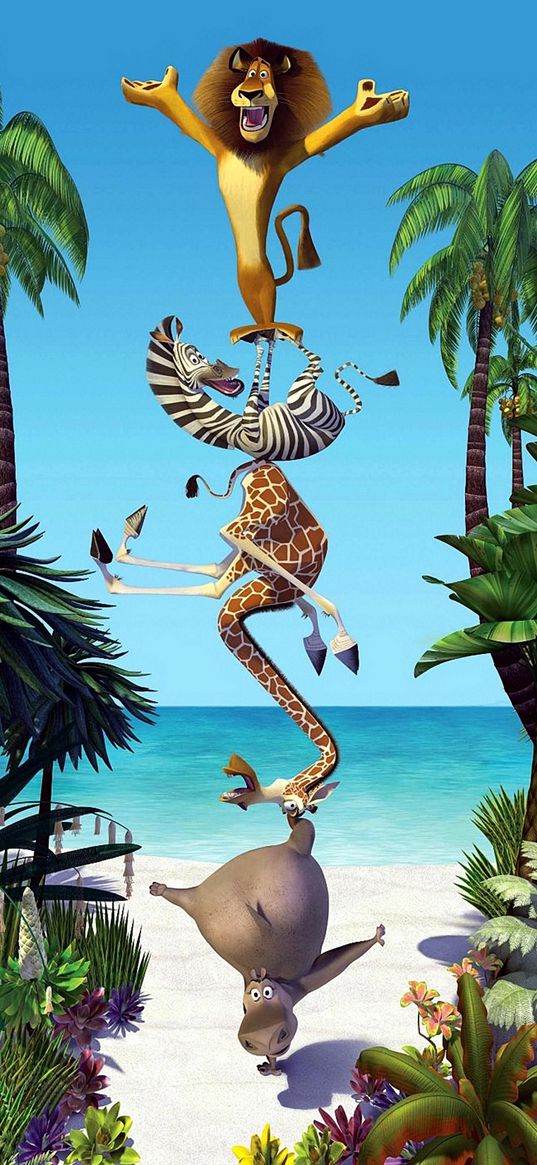 alex, marty, melman, gloria, madagascar, cartoon, lion, zebra, giraffe, hippopotamus, animals, trick, sea, jungle, art