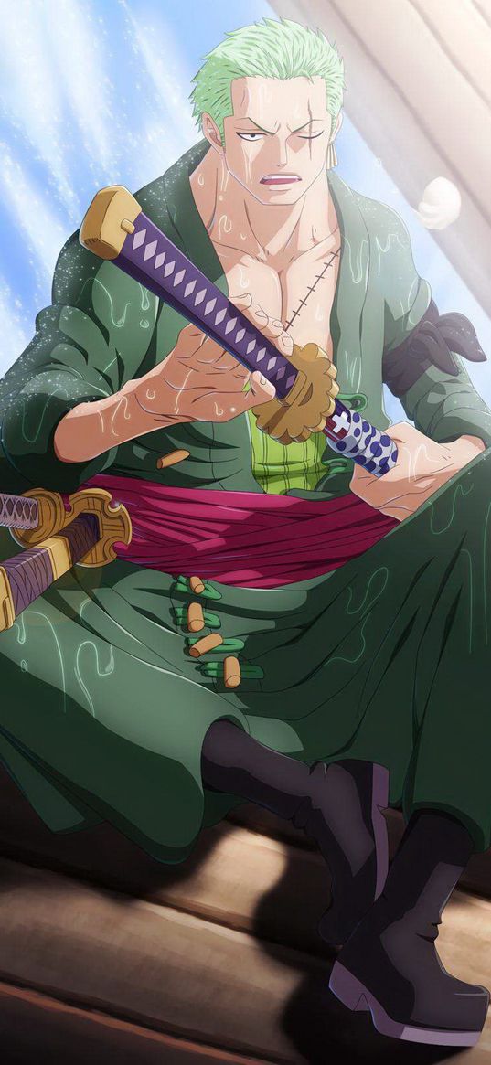 roronoa zoro, one piece, anime, man, samurai, katana, sitting, water, art