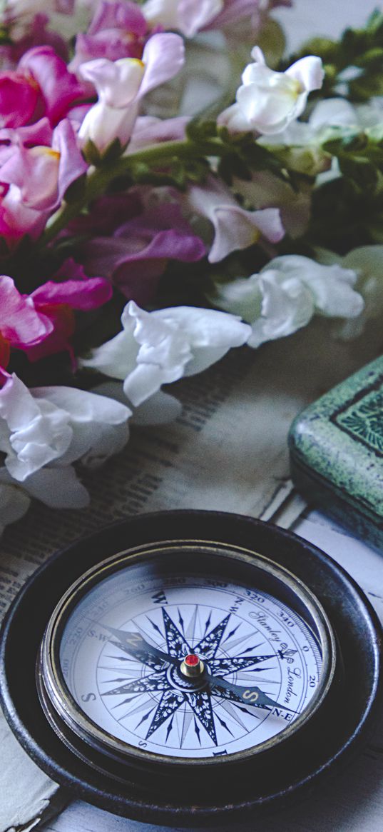 compass, flowers, newspaper, aesthetics